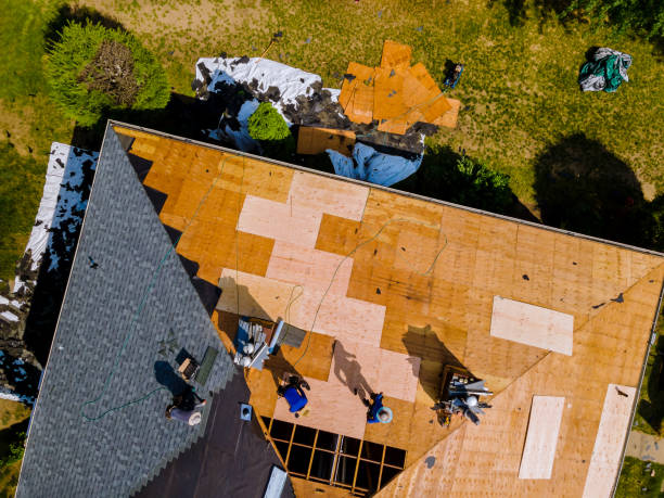 Best Commercial Roofing Services  in Horace, ND